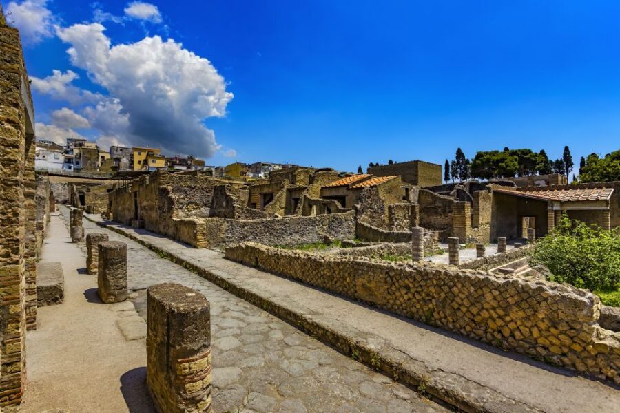 2-Hour Private Tour of the Ruins of Herculaneum - Key highlights I’d plan around
