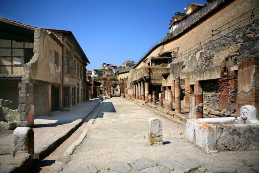 2-Hour Private Tour of the Ruins of Herculaneum - House of the Albergo gardens and the return of quince apple trees