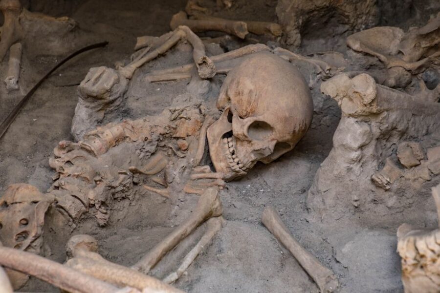 2-Hour Private Tour of the Ruins of Herculaneum - House of Neptune and Amphitrite: mosaics plus a living-room feel