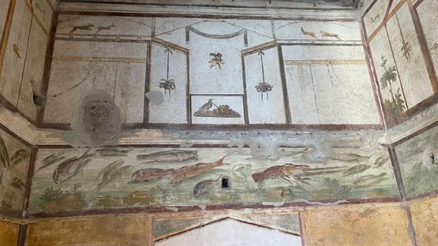 Amalfi Coast: Pompeii, Vesuvius, & Wine Tasting with Lunch - Price and value: what you’re really paying for