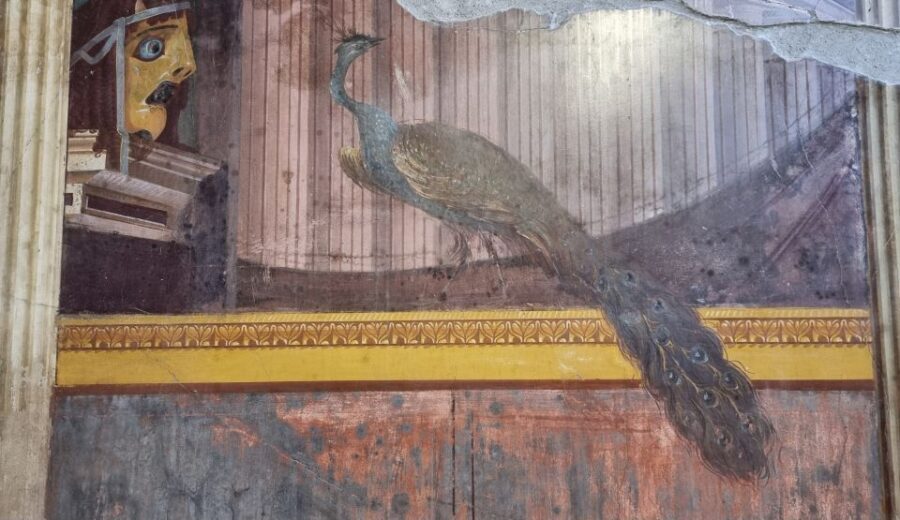 Campania: Pompei+Herculaneum+Vesuvius audio guide - Tech reality check: what to do if the app glitches