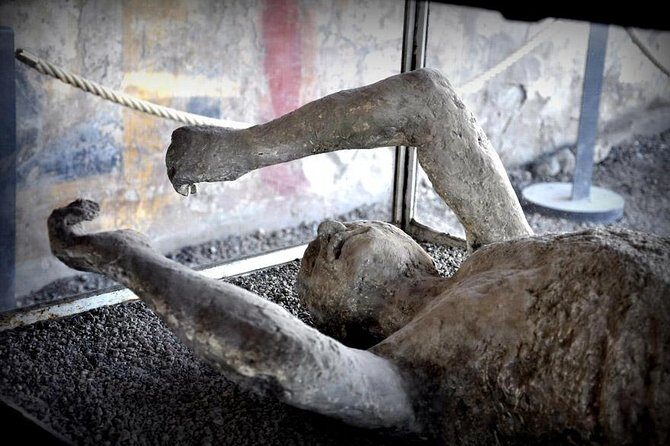 Customizable Private Tour of Herculaneum & Pompeii - Private Mercedes pickup: why the day feels easier