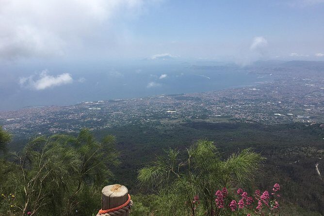 Daily Excursion Full Day 8 Hours ( Vesuvio Pompei) - Guides, Hosts, and the Naples-to-Ruins Storytelling Factor