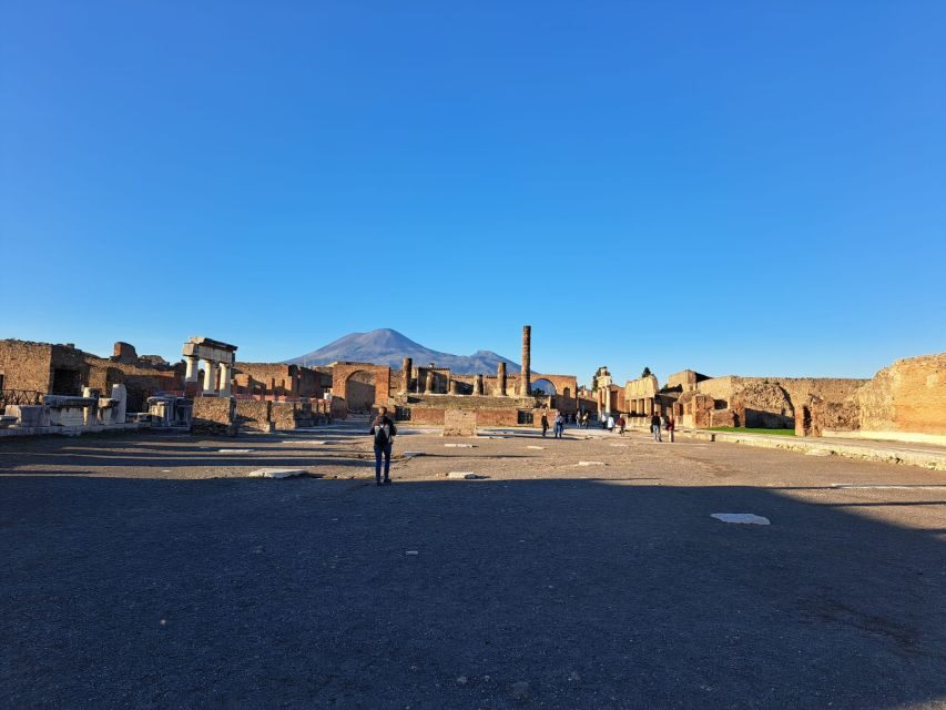 Day Trip to Pompeii & Vesuvius from Naples - Hotel pickup and van transfer: where your day is won or lost