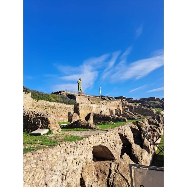Day Trip to Pompeii & Vesuvius from Naples - Who should choose this tour?