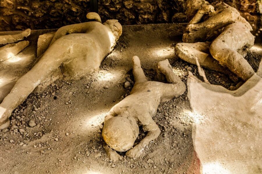 Discover Mt. Vesuvius: Private 3-Hour Tour from Pompeii - Return to Pompeii: you keep control of the timing
