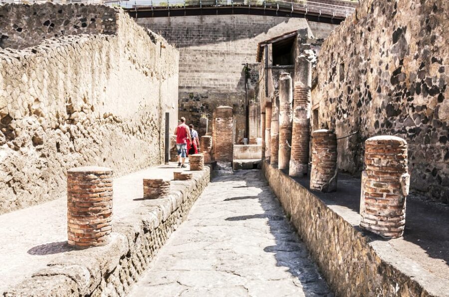 Ercolano: Herculaneum Entry Ticket with Optional Audio Guide - Key things to know before you go