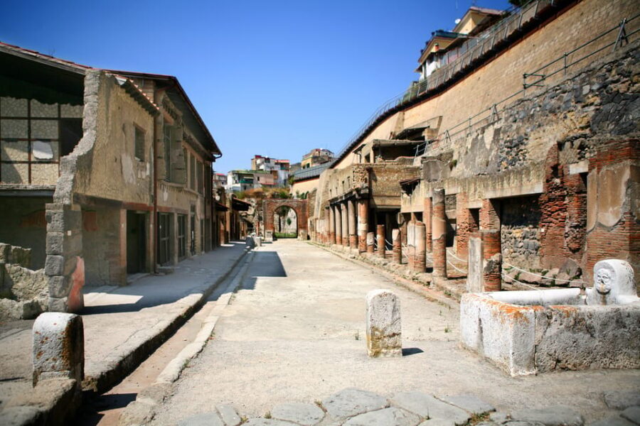 Ercolano: Herculaneum Entry Ticket with Optional Audio Guide - Should you book this Ercolano entry ticket with optional audio guide?