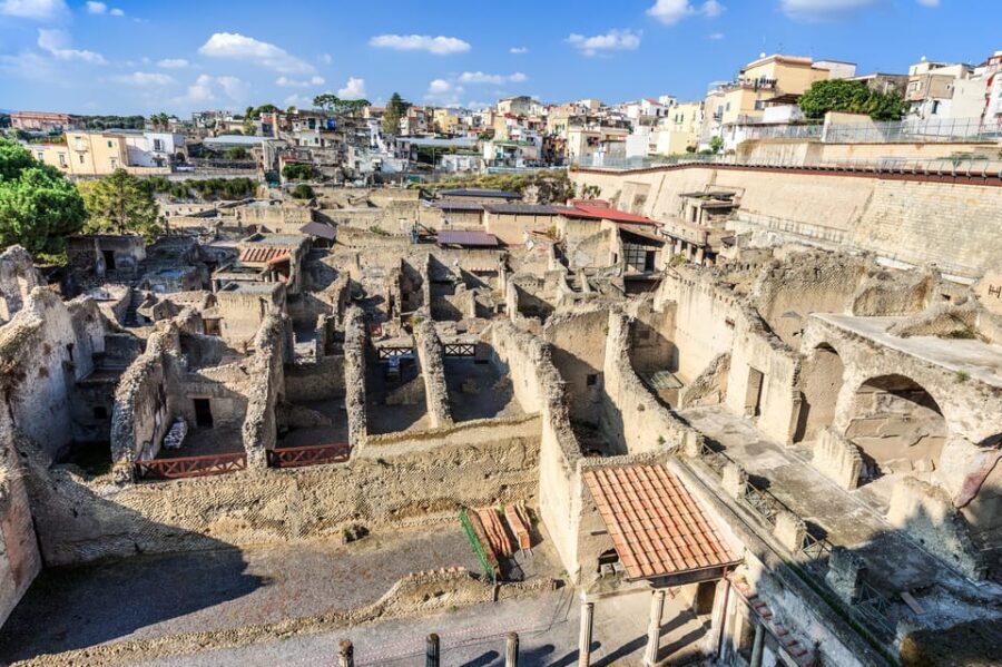 Ercolano: Herculaneum Entry Ticket with Optional Audio Guide - Price and value: is this ticket a bargain?