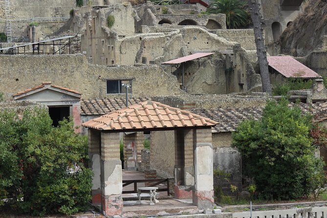 Excavations of Herculaneum. Tour guide and skip-the-line ticket - Entering Parco Acheologico di Ercolano without the scramble