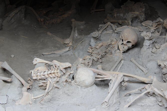 Excavations of Herculaneum. Tour guide and skip-the-line ticket - Skip-the-line price: is $81.45 a good deal?