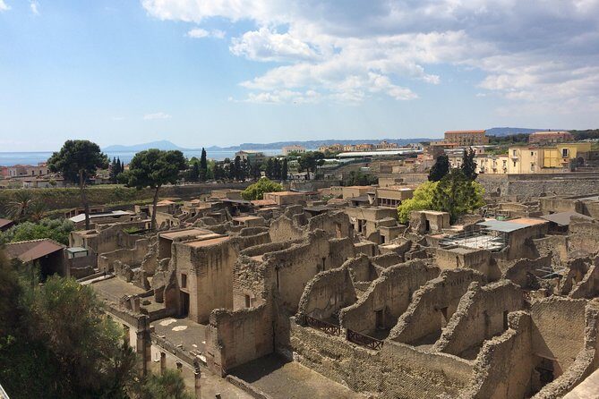 Excellence Private Herculaneum Guided Tour with an Archeologist - Entering Herculaneum the right way in just 2 hours