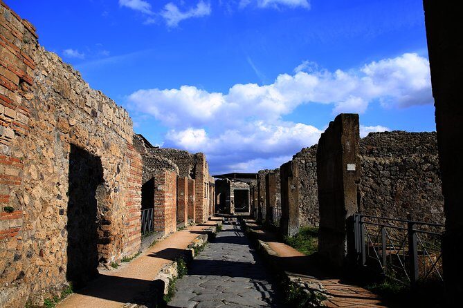 Fast Access Exclusive Private Ancient Pompeii Herculaneum & Oplontis Guided Tour - The day’s rhythm: what 8 hours feels like