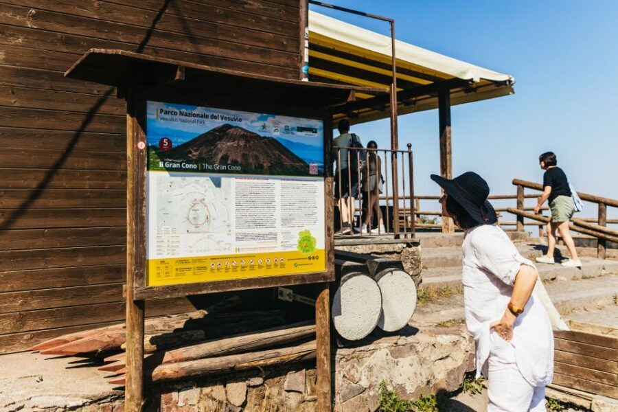 From Naples: All-Inclusive Mount Vesuvius Half-Day Tour - Who This Tour Is Best For (and Who Should Skip It)