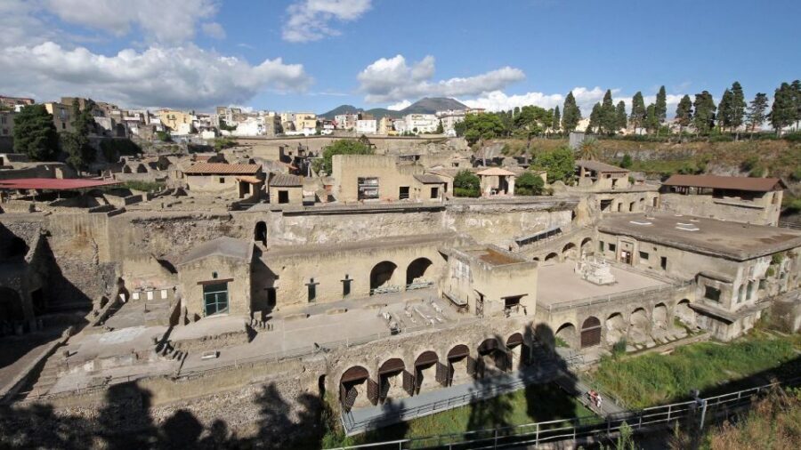 From Naples: Day Trip to Herculaneum with skip the line - Who this shuttle-and-self-guided trip suits best