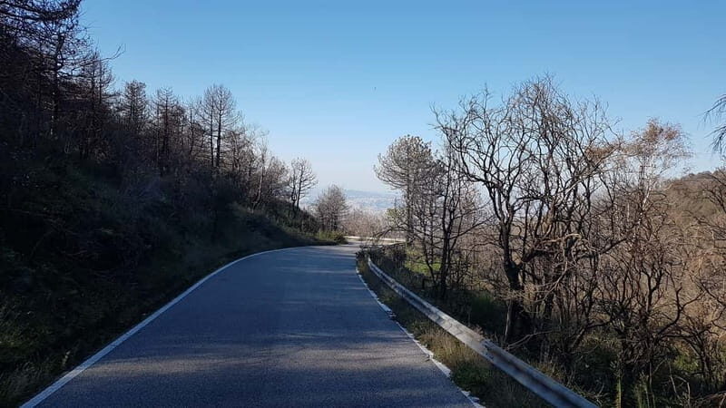 From Naples: Day Trip to Mount Vesuvius - Small logistics that make or break the day