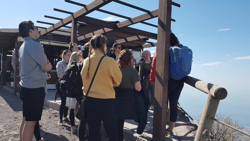 From Naples: Day Trip to Mount Vesuvius - From Naples city centre to the National Park: comfort first
