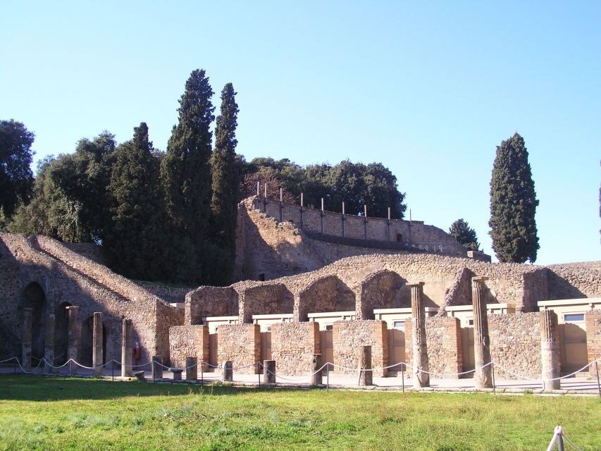 From Naples: Guided Pompei & Mount Vesuvius with Pizza Lunch - Audio guide plus live guide: a practical combo