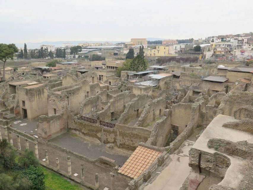 From Naples: Herculaneum, Mount Vesuvius & Pompeii Day Trip - Price and extra costs: what $135.94 covers (and what doesn’t)