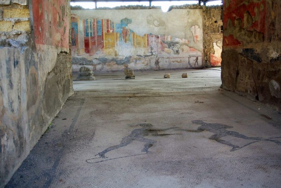 From Naples: Herculaneum, Mount Vesuvius & Pompeii Day Trip - Who should book this tour, and who should consider a different plan