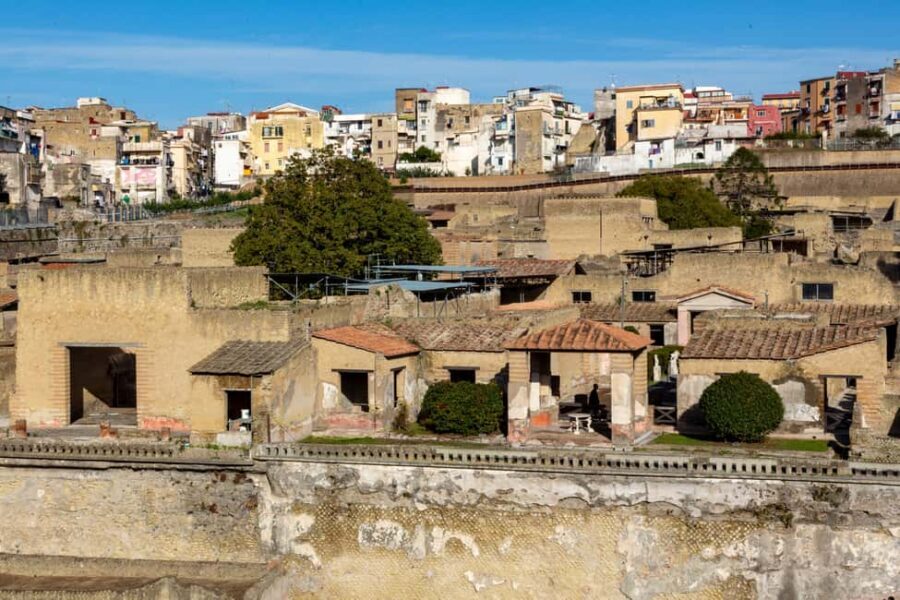 From Naples: Herculaneum Skip-the-Line Guided Tour - Key things I’d prioritize before you book