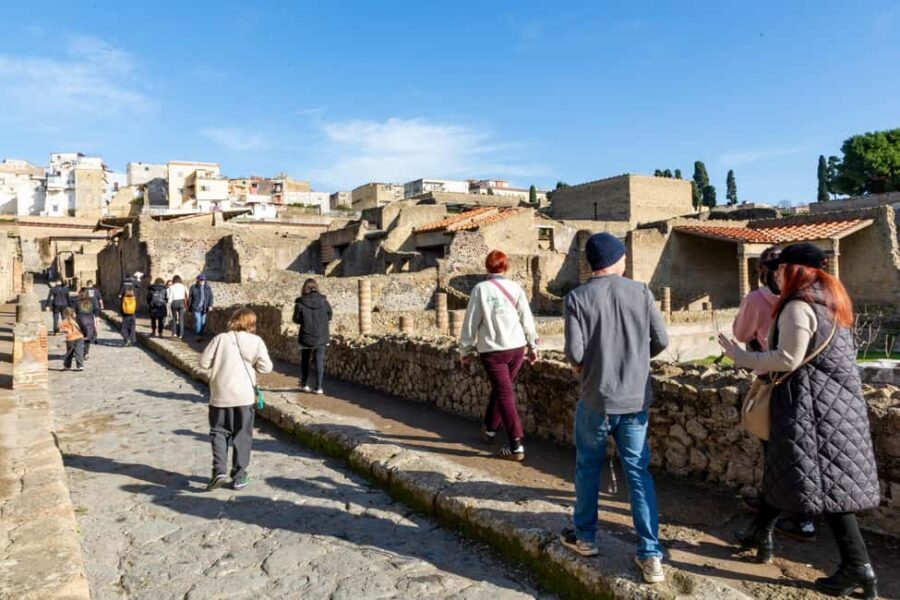 From Naples: Herculaneum Skip-the-Line Guided Tour - The ride to Ercolano: short, with commentary (and sometimes audio quirks)