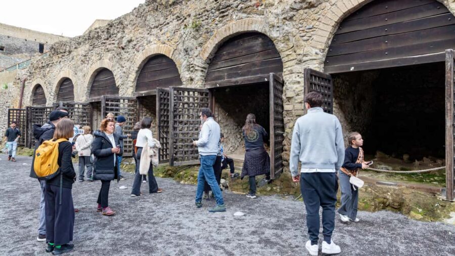 From Naples: Herculaneum Skip-the-Line Guided Tour - Skip-the-line and priority entry: why it matters at Herculaneum