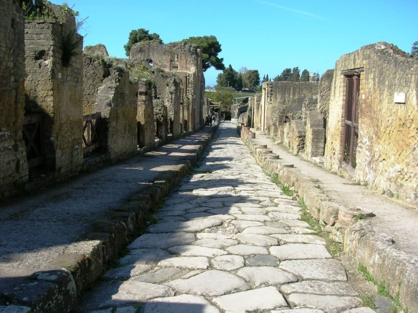 From Naples: Herculaneum Skip-the-Line Guided Tour - Small group pacing: easy questions, but don’t expect “wander time”