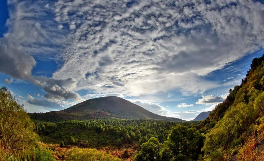 From Naples: Mount Vesuvius Half-Day Tour with Lunch - Key points before you go