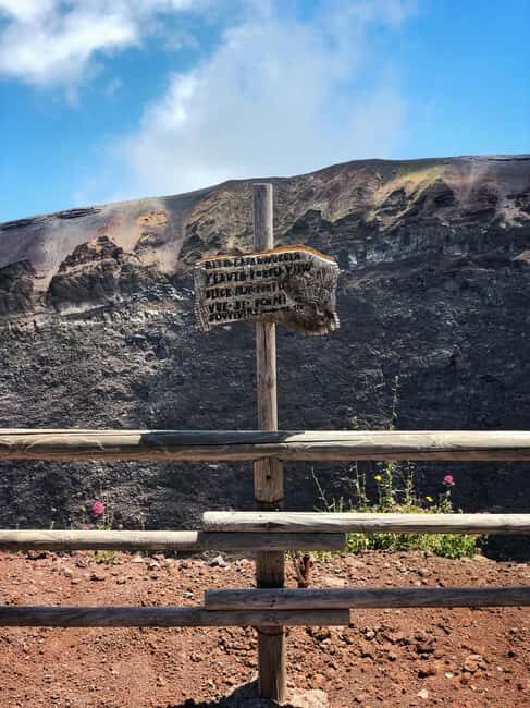 From Naples: Mount Vesuvius Half-Day Tour with Lunch - Who should book this Vesuvius half-day tour
