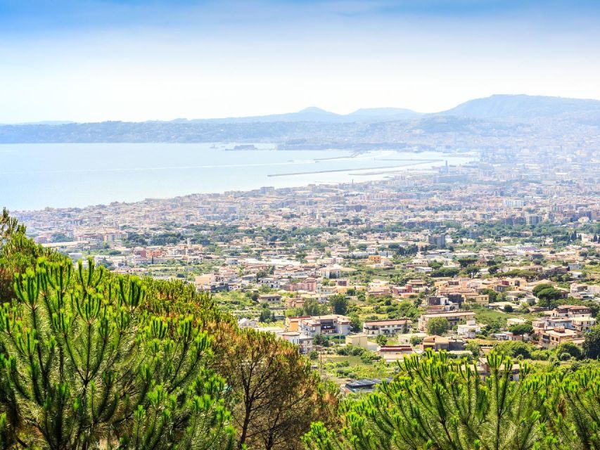 From Naples: Mount Vesuvius Transfer with Entry Tickets - Key highlights you’ll feel right away