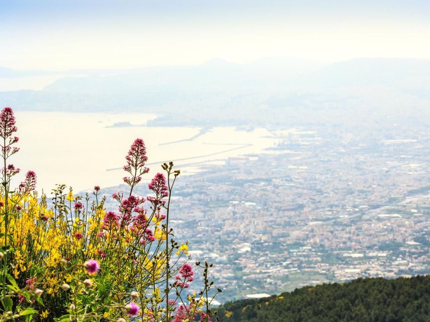 From Naples: Mount Vesuvius Transfer with Entry Tickets - Should you book this Naples to Vesuvius transfer?
