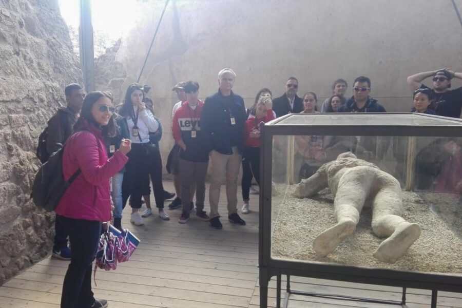 From Naples: Pompeii and Herculaneum Tour with Lunch - Who This Pompeii and Herculaneum Tour Fits Best