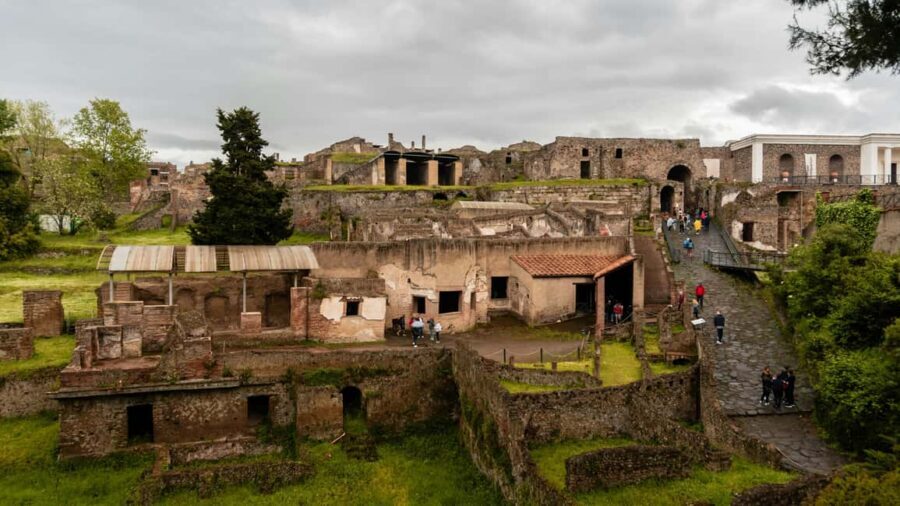 From Naples: Pompeii and Vesuvius Day Tour - Mount Vesuvius: 90 minutes of real hiking, not just a lookout