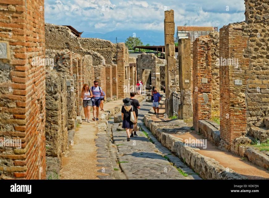 From Naples: Pompeii and Vesuvius Day Tour - Pace and practical comfort: the day is active