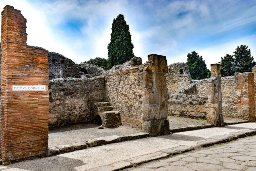 From Naples: Pompeii and Vesuvius Full-Day Tour with Lunch - Price and value: does $113.29 make sense?