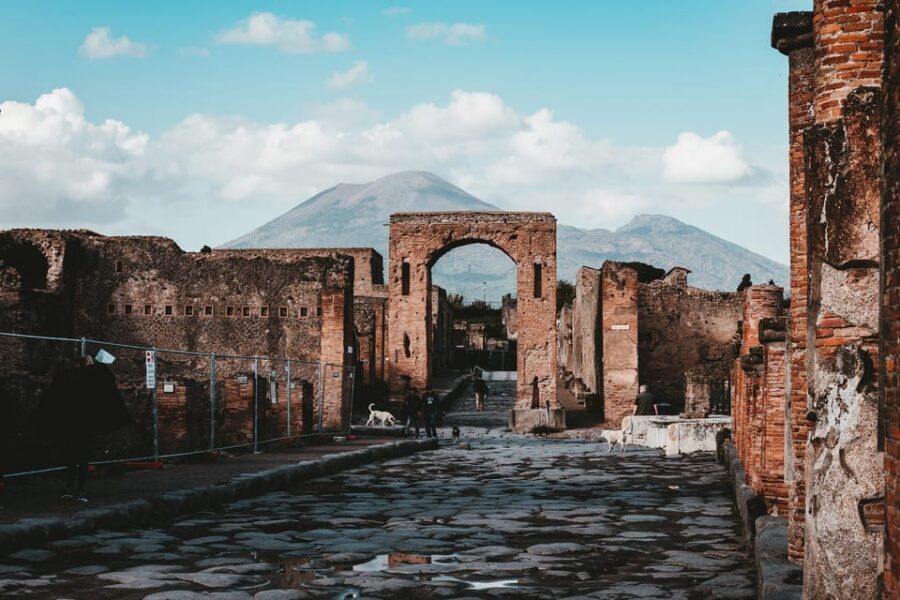 From Naples: Pompeii and Vesuvius Tour with Ticket Options - Vesuvius nature reserve walk: what the day feels like near the top