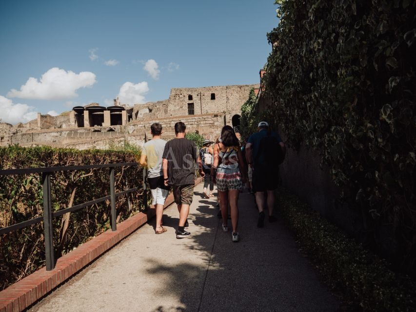 From Naples: Pompeii & Herculaneum with Archaeologist Guide - Carbonized wood, intact paintings, and mosaics (yes, really)