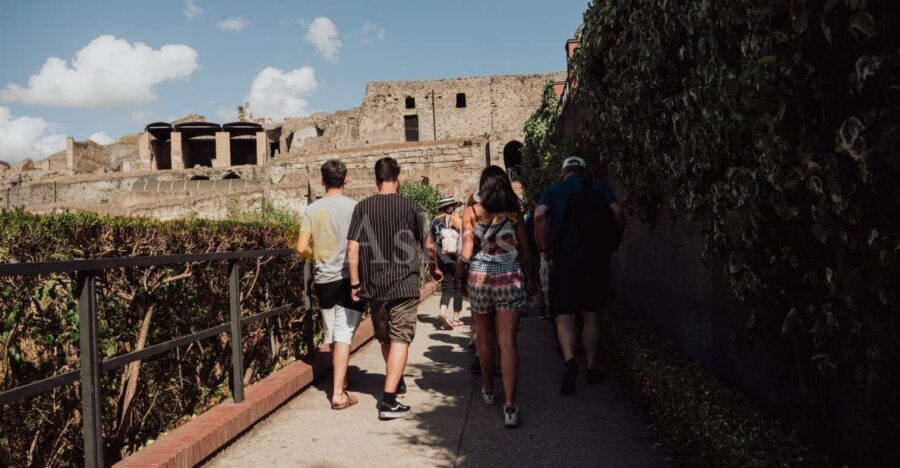 From Naples: Pompeii & Herculaneum with Archaeologist Guide - Price and value: what $168.79 buys you in real time