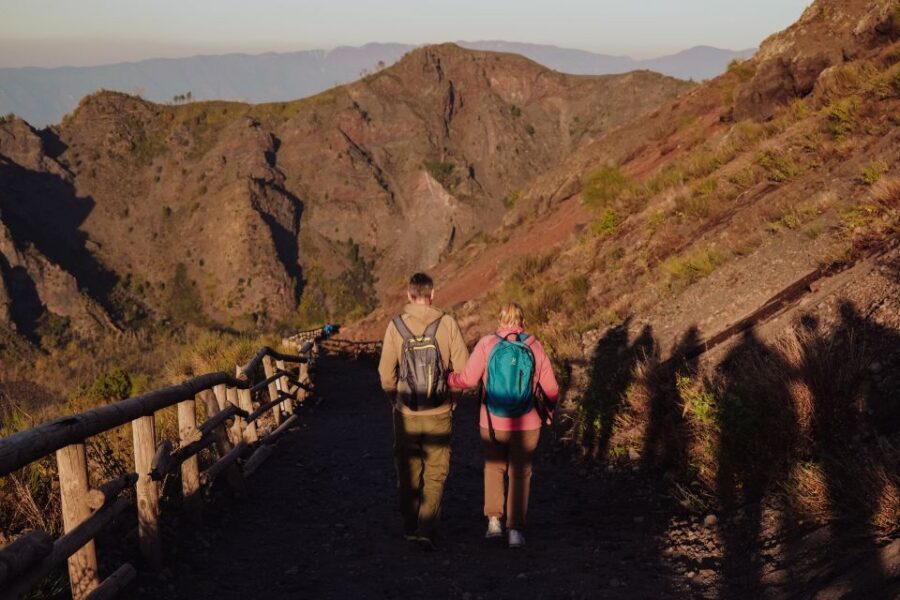From Naples: Pompeii & Mount Vesuvius Full-Day Private Tour - Who this tour suits best (and who should skip it)