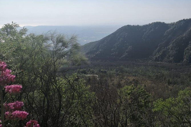 From Naples: Pompeii & Mount Vesuvius Full-Day Tour with Lunch - Vesuvius National Park: Views, Crater Edge, and the Pace Question