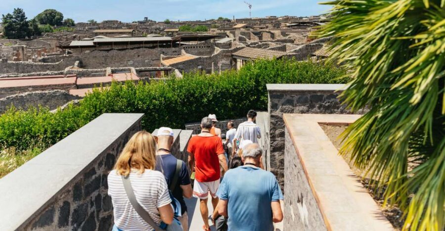 From Naples: Pompeii Ruins & Mount Vesuvius Day Tour - Vesuvius climb and crater-edge photos: where the day turns dramatic