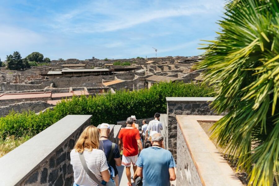 From Naples: Pompeii Ruins & Mount Vesuvius Day Tour - Timing and pacing: what a 7 to 7.5 hour day really feels like