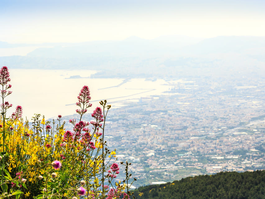 From Naples Port: Vesuvius and Pompeii Tour with Tickets - Meeting at Naples Port: where to find the bus without stress
