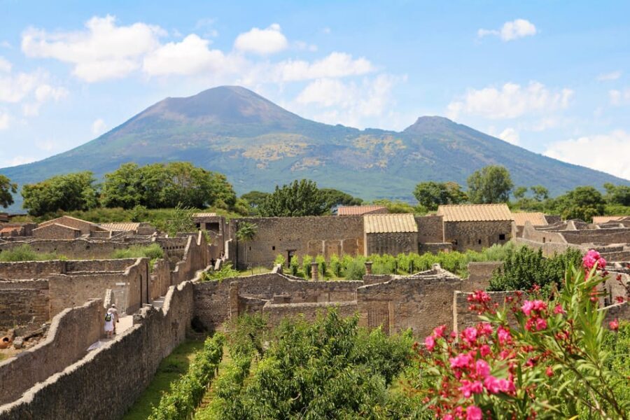 From Naples Port:Pompeii+Vesuvius tour - Key points to know before you go