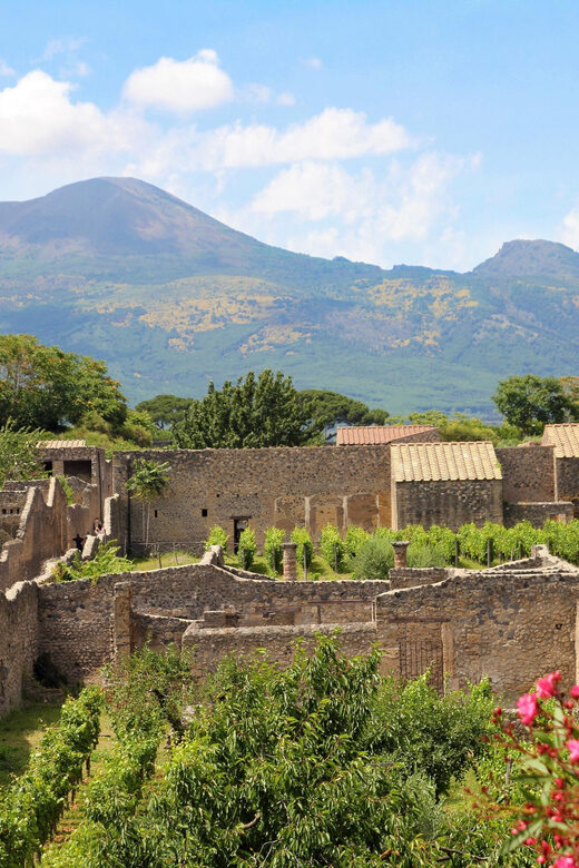 From Naples Port:Pompeii+Vesuvius tour - Skip-the-line tickets: where your money starts paying back