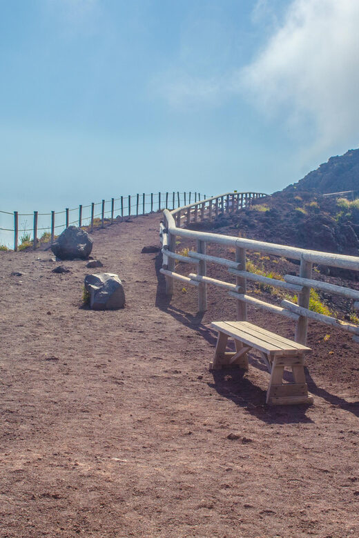 From Naples: Vesuvius and Herculaneum Day Trip with Tickets - Key things to know before you go