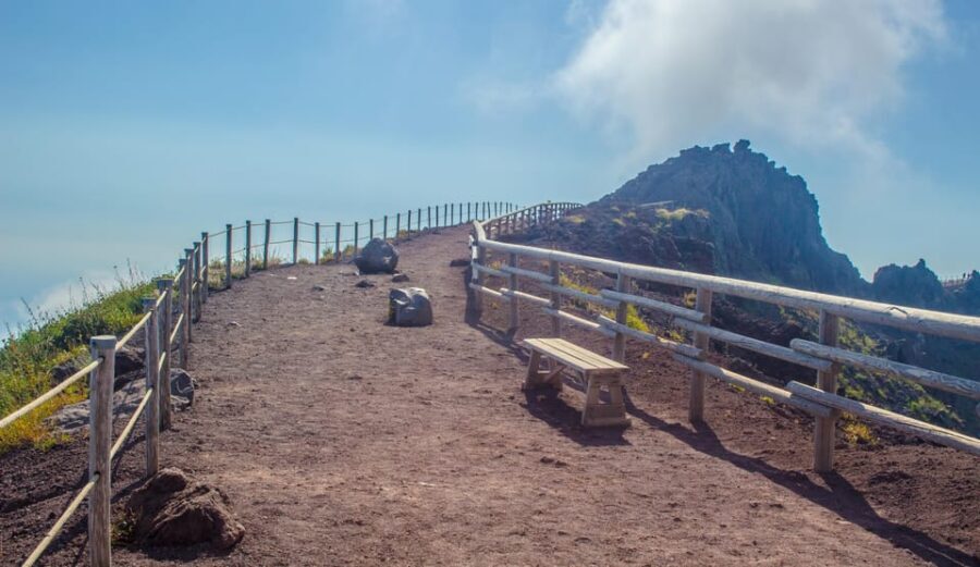 From Naples: Vesuvius and Herculaneum Day Trip with Tickets - A 6-hour taste of Vesuvius and Ercolano