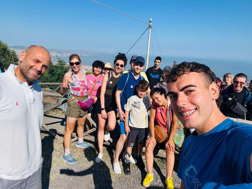 From Naples: Vesuvius Easy Tour - Naples to Vesuvius by Deluxe Minibus: The Easy Part