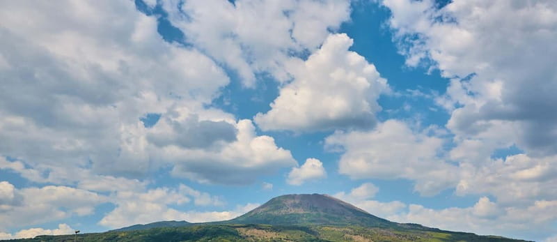 From Naples: Vesuvius Easy Tour - Time in the Park: Enough for the Hike, Tight for Slowwanders